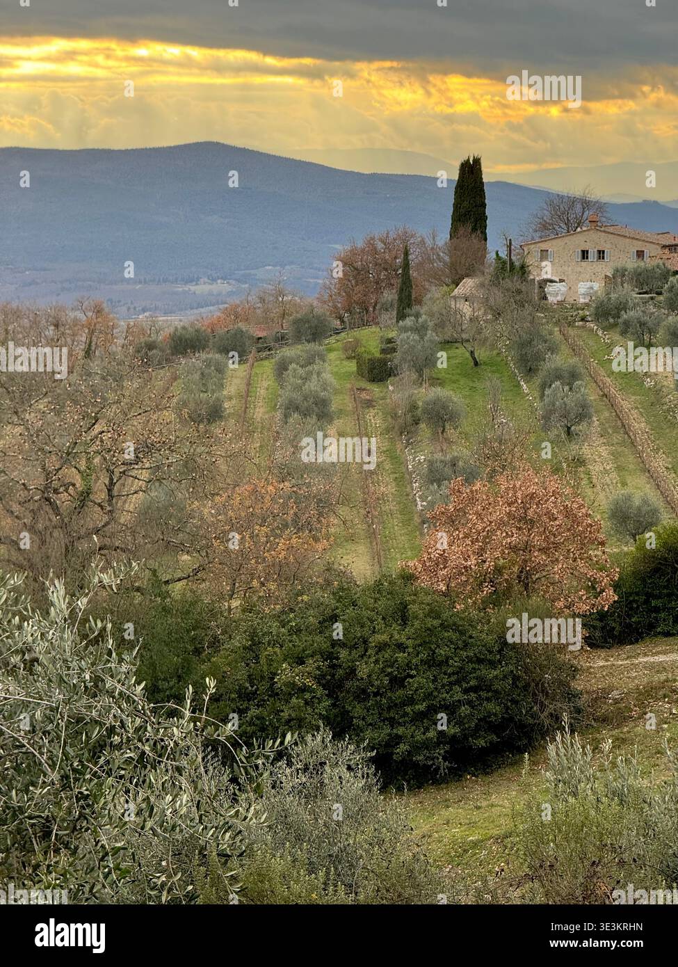 Tardo autunno in Toscana, con splendidi colori stagionali, paesaggi ondulati e una calda luce d'atmosfera nella campagna italiana. - Immagine stock catturata con smartphone