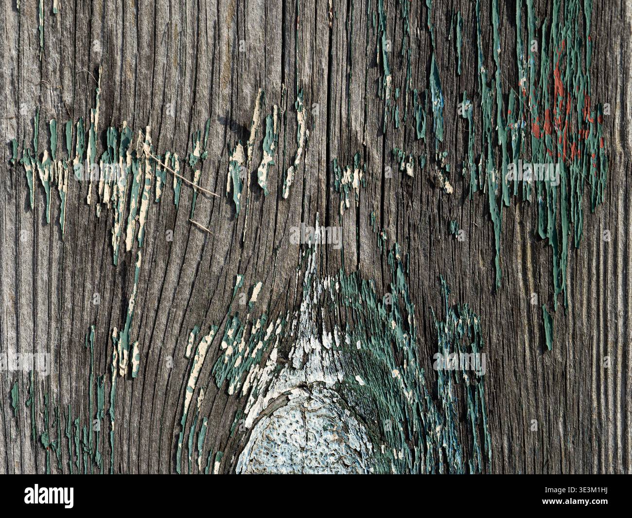 Pannelli in legno rustico con erosione della vernice a strati, perfetti per design vintage o casali. Foto Stock