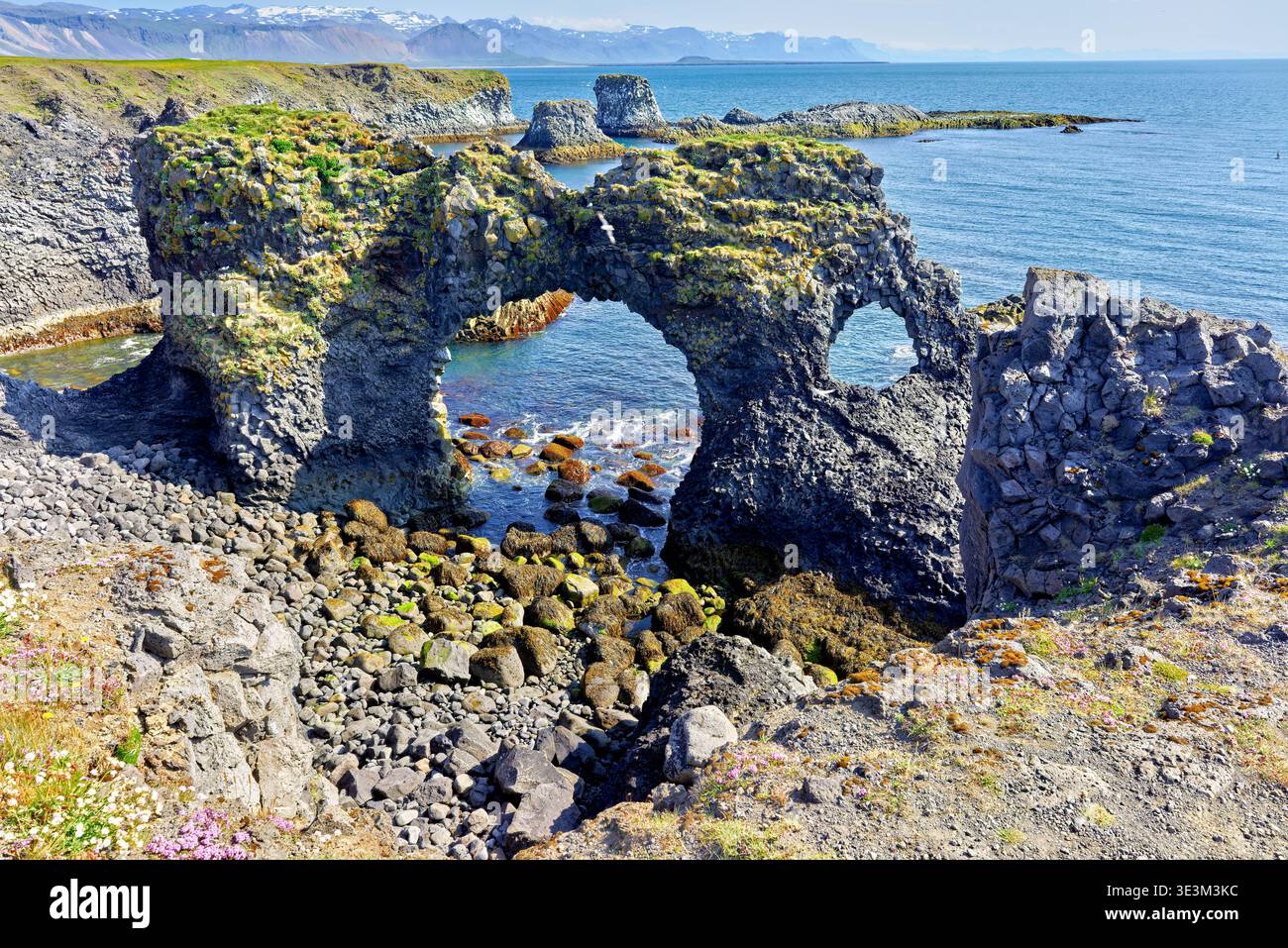 I visitatori camminano lungo la scogliera di arnarstapi in Islanda vicino all'oceano. Le formazioni rocciose creano forme uniche contro l'acqua cristallina. Foto Stock