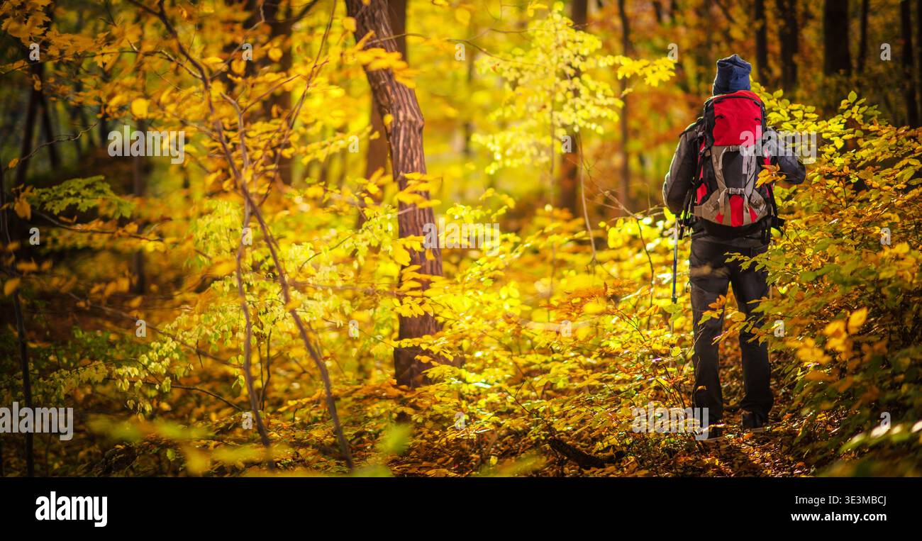 Una persona con uno zaino cammina su un sentiero nella foresta pieno di foglie autunnali. Foto Stock