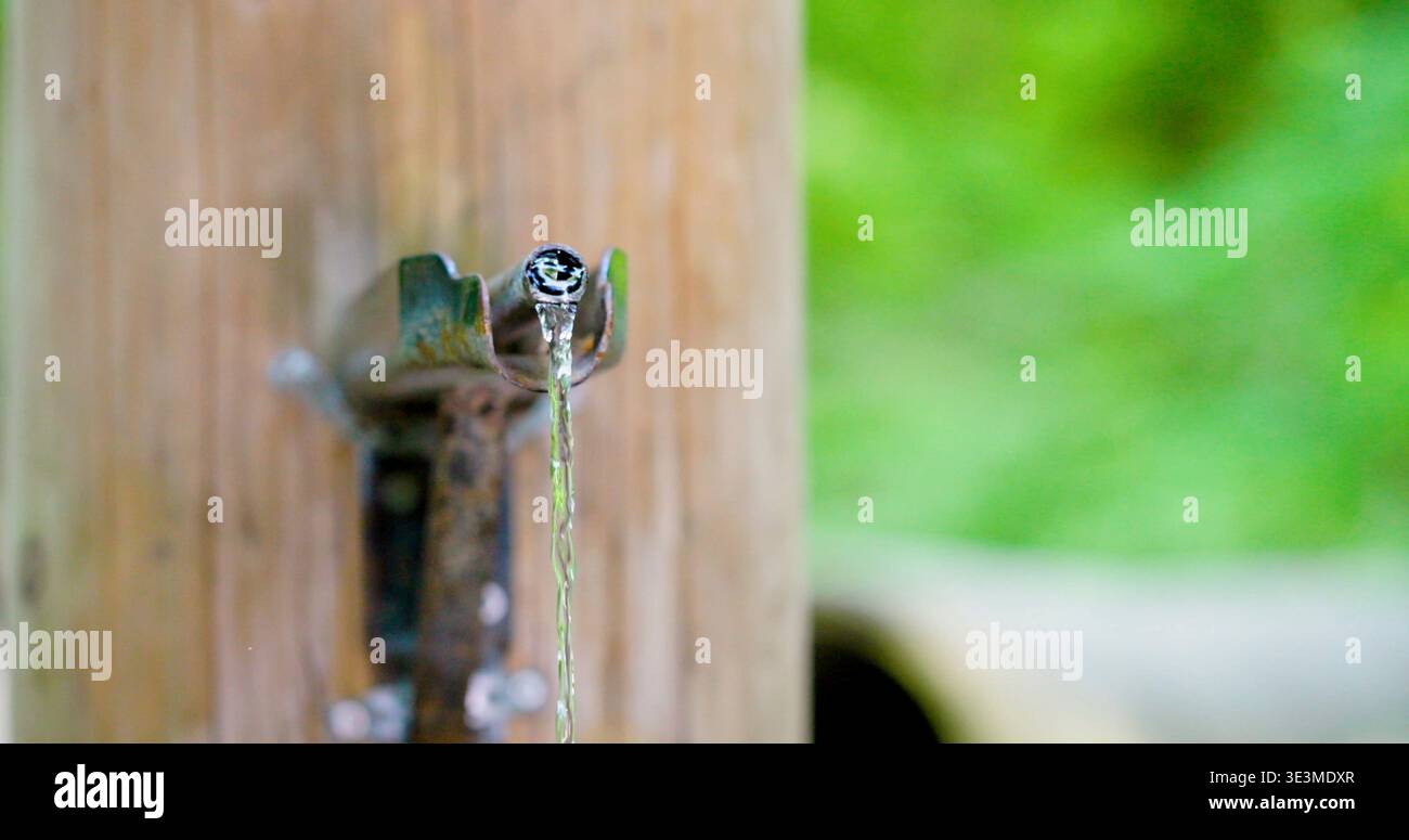 Acqua del rubinetto che scorre da un palo di legno in un'area verde durante una giornata di sole vicino a una foresta Foto Stock