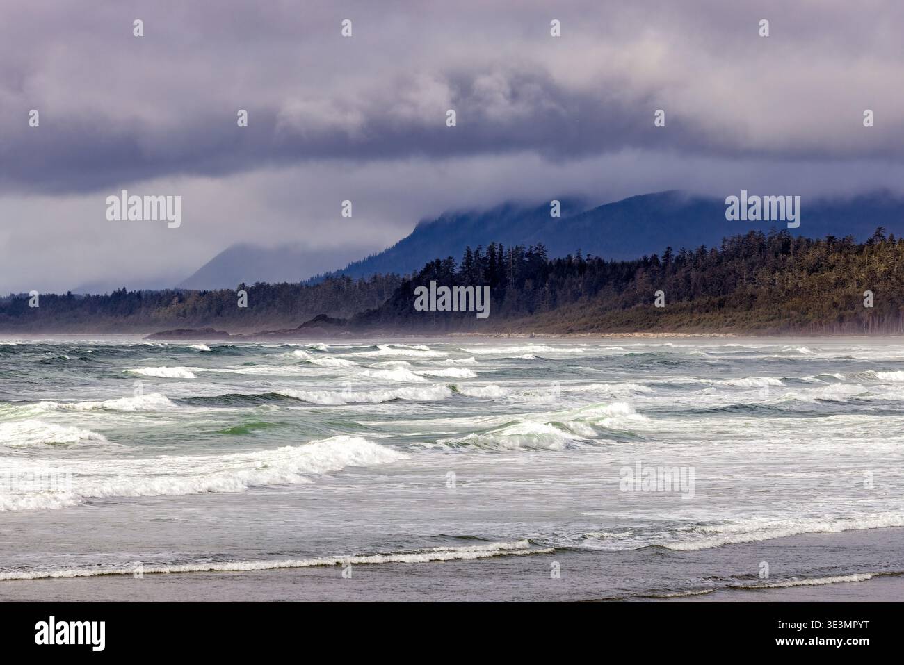 Wickaninnish Beach nel Pacific Rim National Park Reserve, Vancouver Island, British Columbia, Canada Foto Stock
