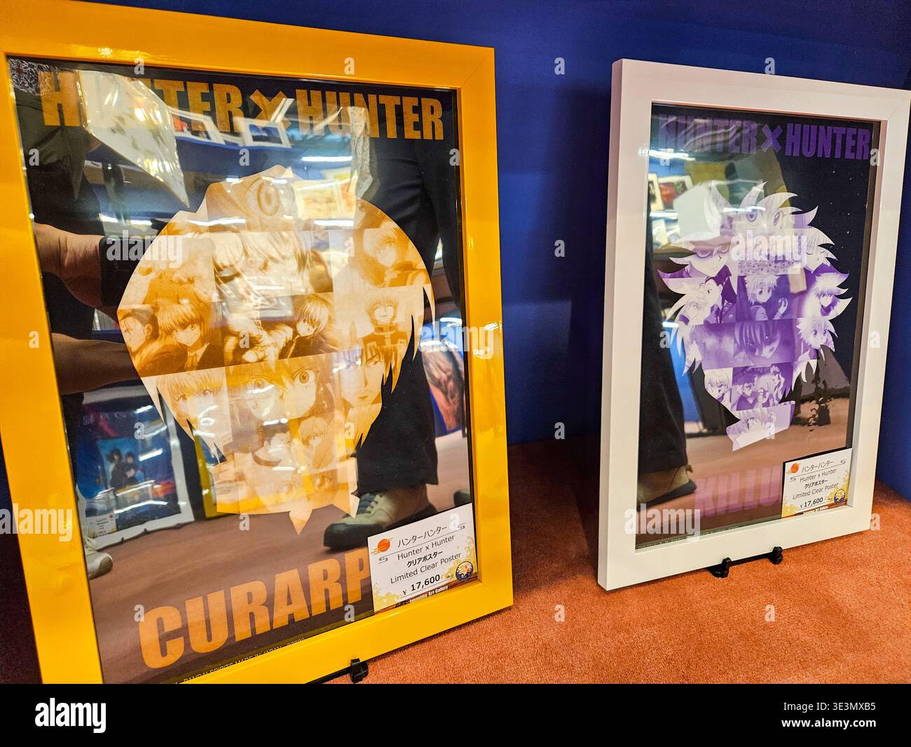 Hunter X Hunter ART nella Japanime Art Gallery di Tokyo Foto Stock