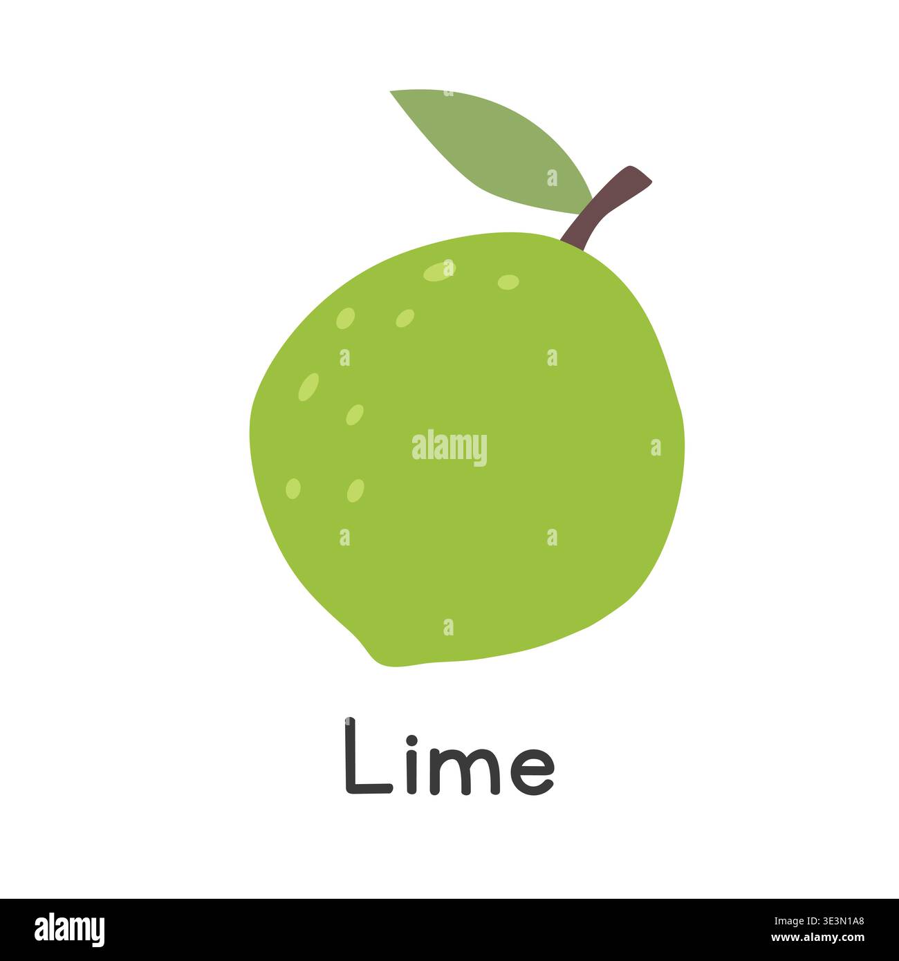 Illustrazione del vettore piatto del frutto del lime. Stile della clipart dei cartoni animati in calce verde isolato su sfondo bianco. Concetto comune di frutta e agrumi Illustrazione Vettoriale