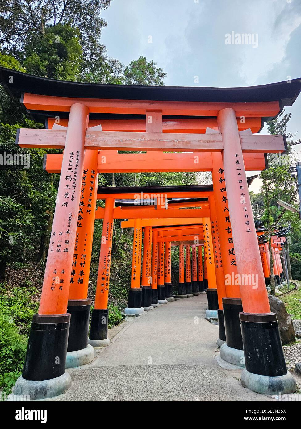 Fushimi Inari Taisha a Kyoto in Giappone Foto Stock