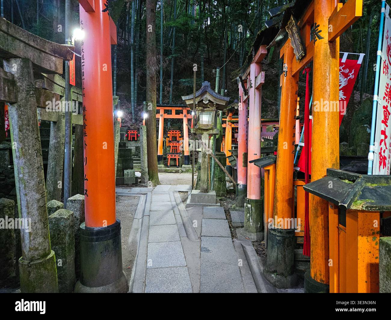 Fushimi Inari Taisha a Kyoto in Giappone Foto Stock