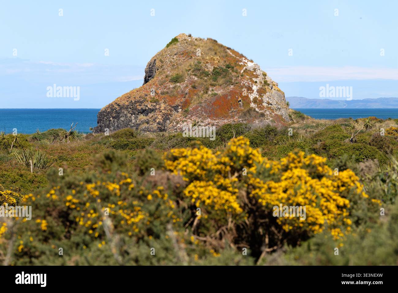 Cooks Head Rock a Chrystalls Beach, Otago, South Island, nuova Zelanda. Foto Stock