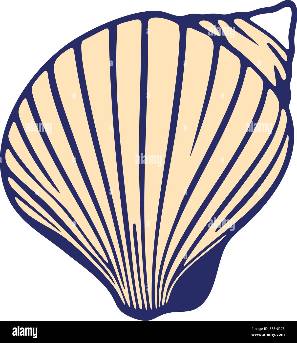 Illustrazione decorativa di un guscio di vongole con linee di nervatura irradianti e un contorno a forma di ventaglio in blu scuro. Illustrazione Vettoriale