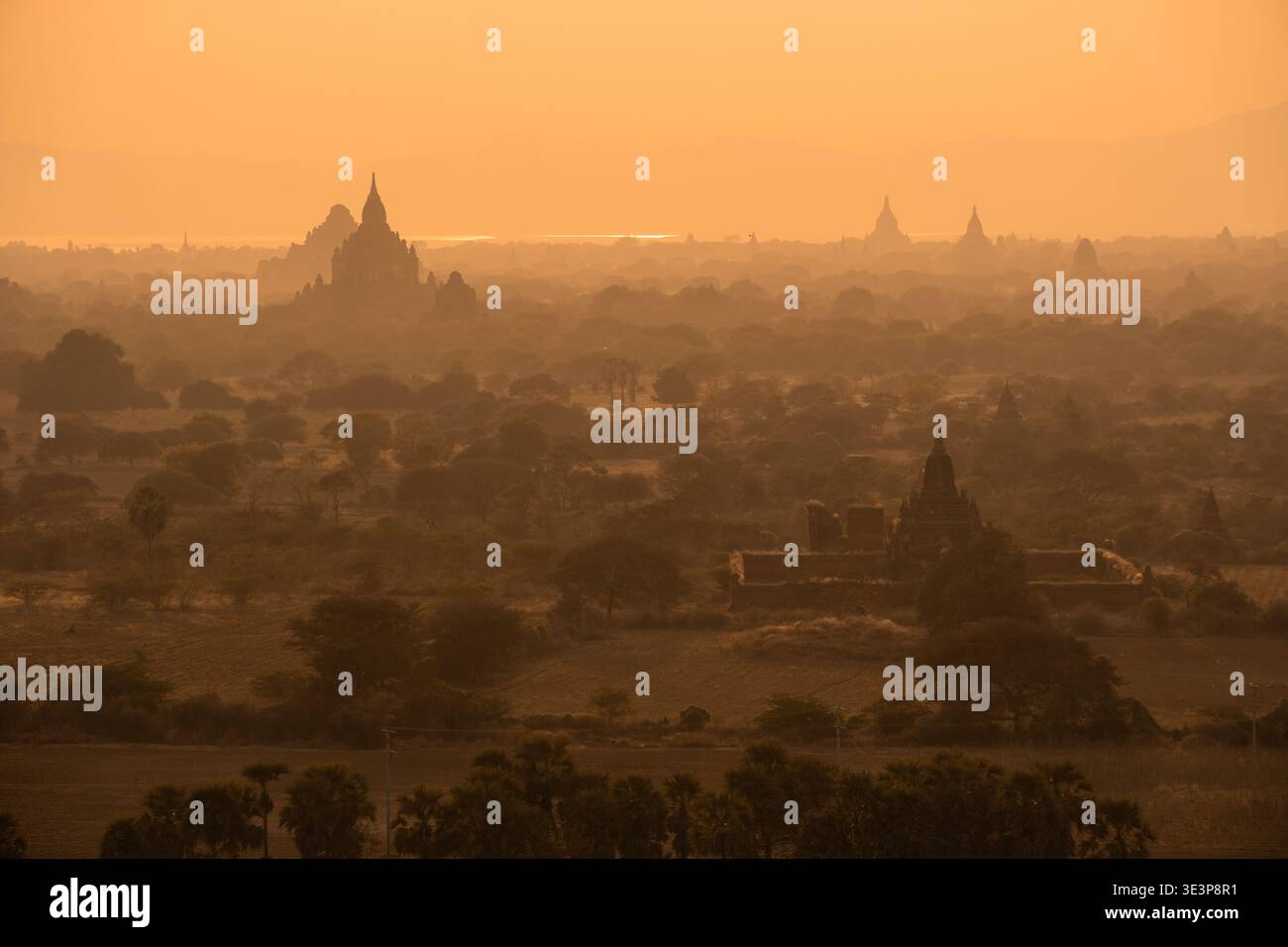 Vista degli antichi templi che attraversano le pianure ricoperte di nebbie dorate, un panorama senza tempo di storia e spiritualità, il vecchio Bagan, la regione di Mandalay, Foto Stock