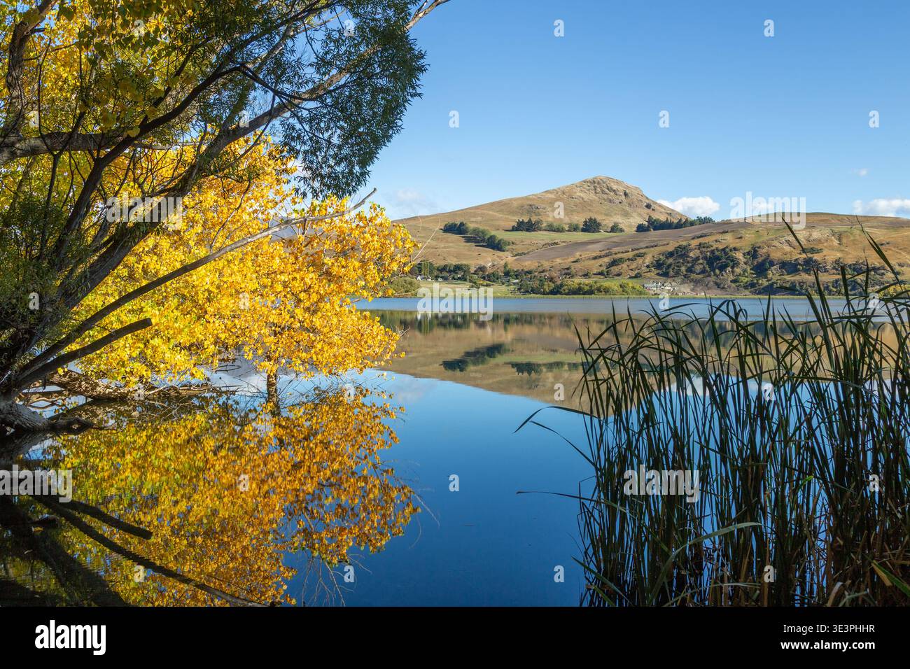 Affacciato sul lago Hayes in una splendida giornata autunnale di sole, Central Otago, South Island, nuova Zelanda Foto Stock