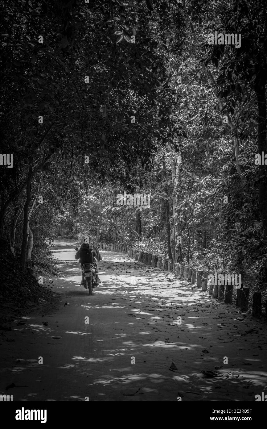 Motociclista che viaggia lungo una strada nella giungla illuminata dal sole all'interno del parco archeologico di Angkor, Siem Reap, Cambogia. Foto Stock
