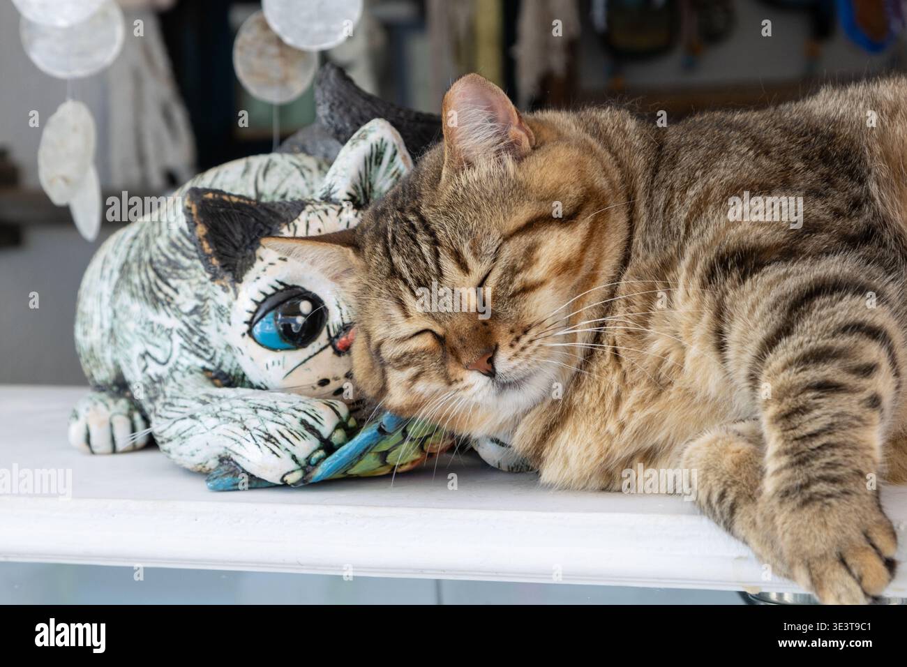 Gatto addormentato e statuetta decorativa per gatto in un negozio di souvenir nel villaggio di Oia. Isola di Santorini, le Cicladi, Grecia Foto Stock