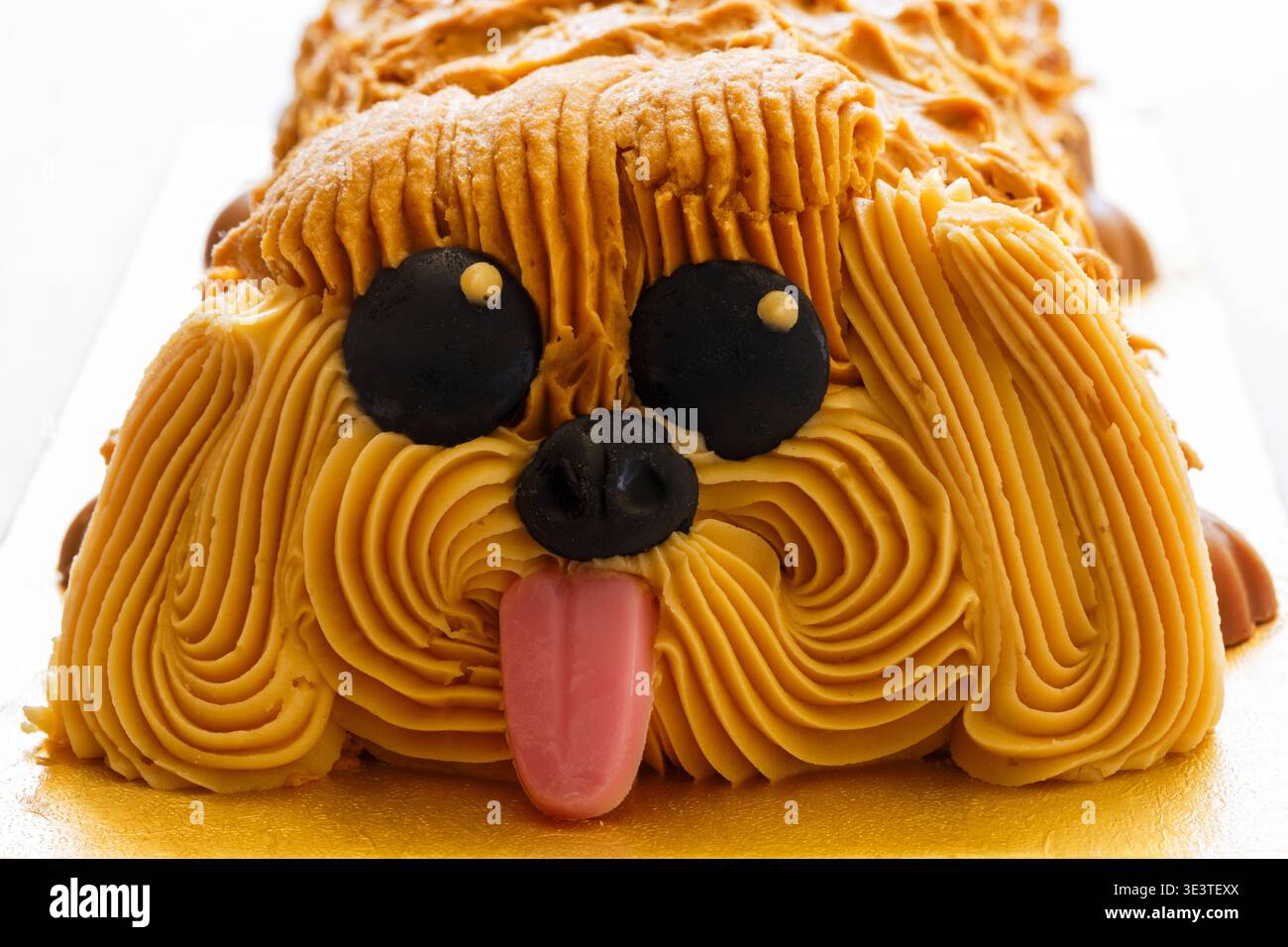 Torta Ralph The Cavapoo di M&S su sfondo bianco - rotolo di spugna al cioccolato ripieno di crema di cioccolato e ricoperto di cioccolato al latte Foto Stock