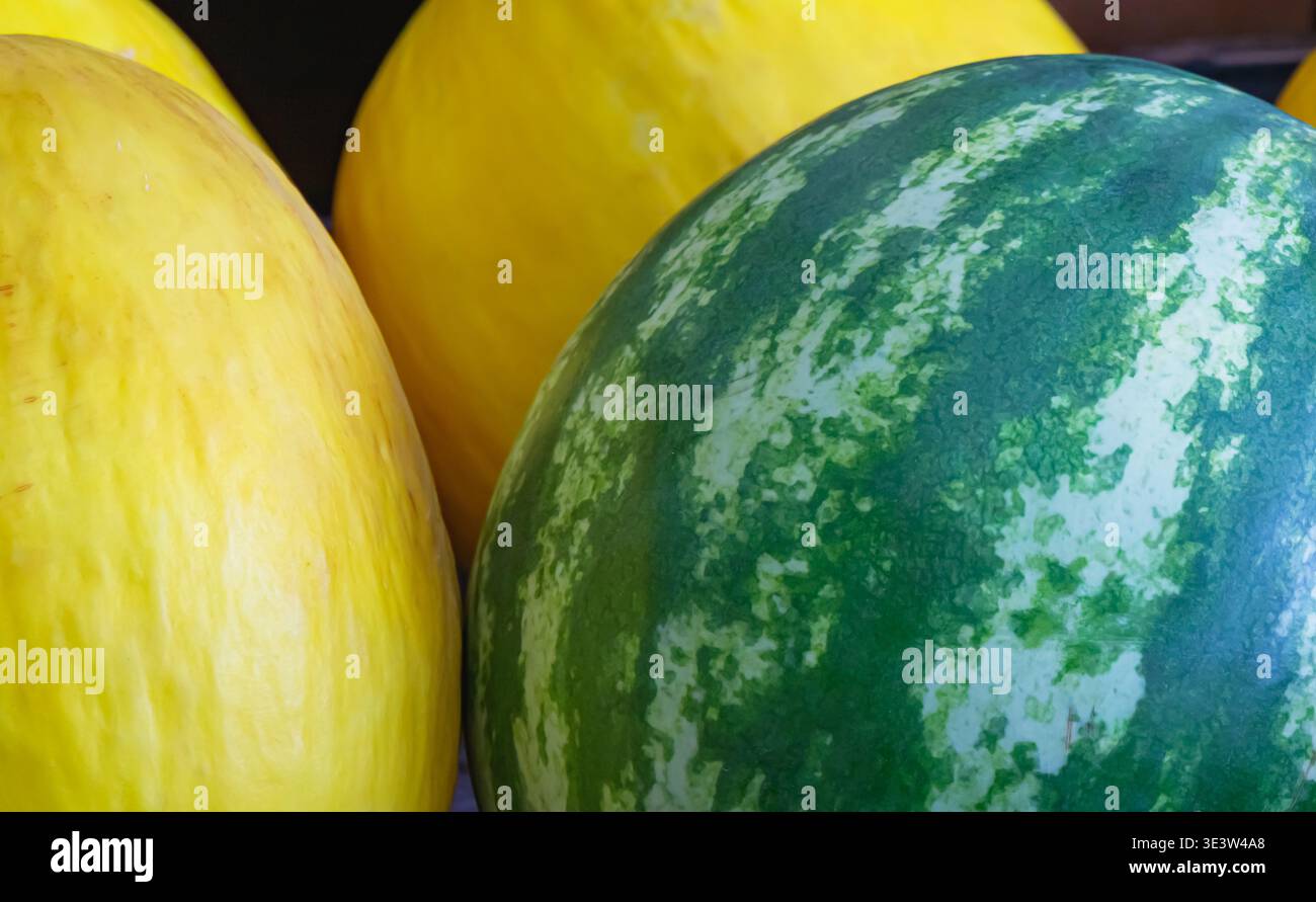 Primo piano di tutta l'anguria e i meloni gialli esposti in una bancarella del mercato, mostrando una consistenza naturale e un contrasto di colore, adatto per prodotti freschi Foto Stock
