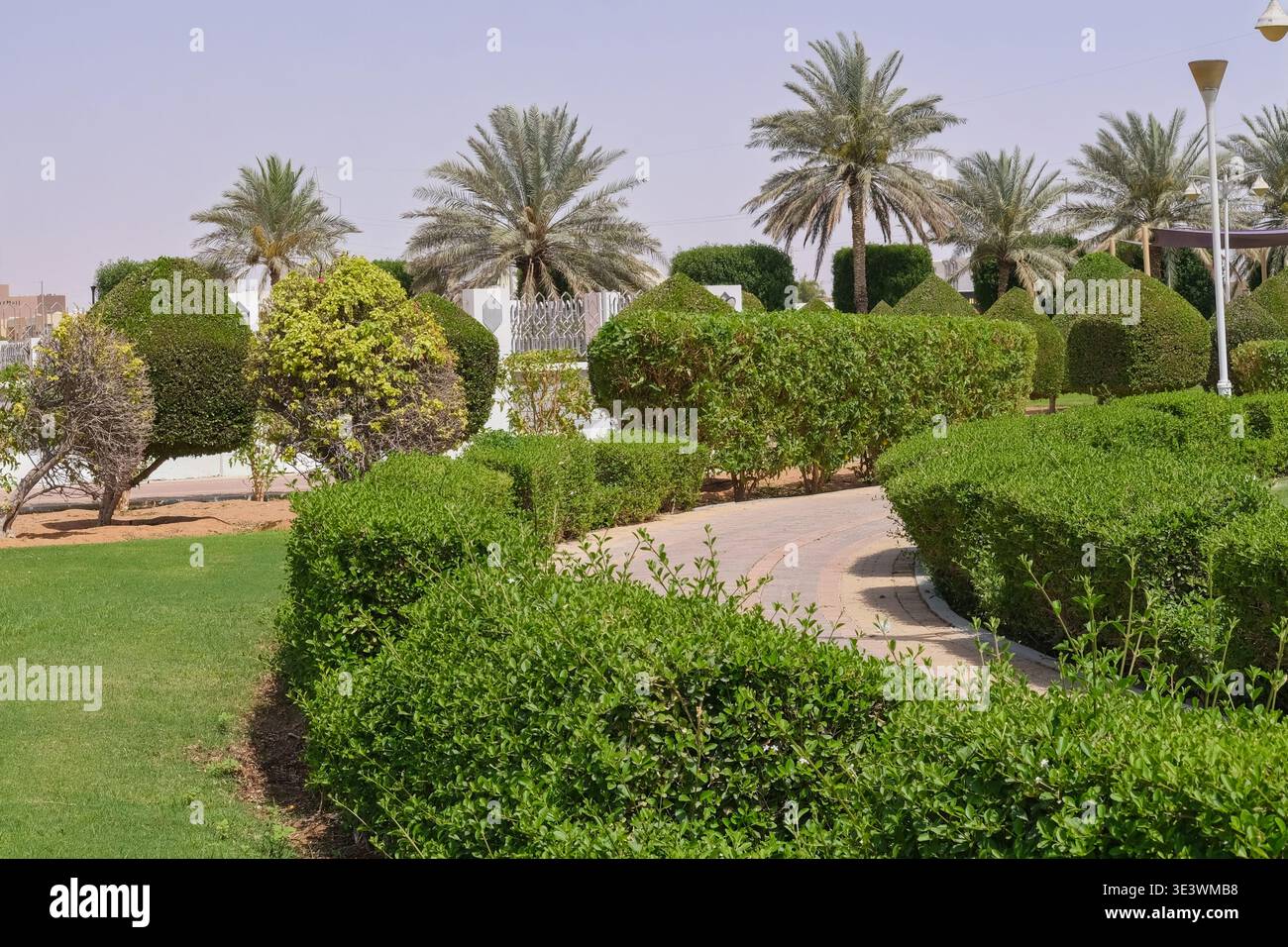 Parco urbano paesaggistico con palme, siepi rifilate negli Emirati Arabi Uniti. Paesaggio sostenibile e irrigazione creano spazi verdi nel clima desertico. Foto Stock