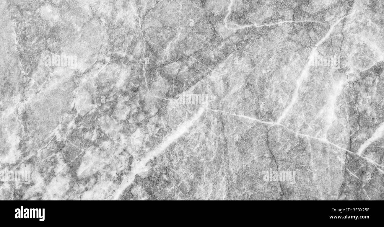 Sfondo in marmo grigio con intricati motivi venati, con una superficie lucida ideale per applicazioni di design e architettoniche Foto Stock
