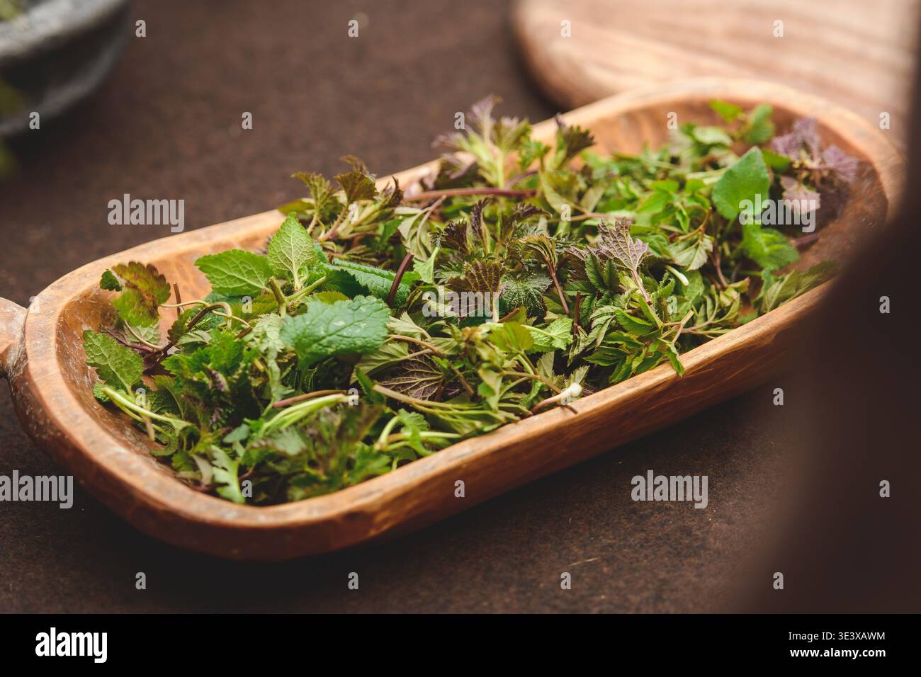 Vassoio in legno di erbe selvatiche verdi appena raccolte per infuso di tè Foto Stock