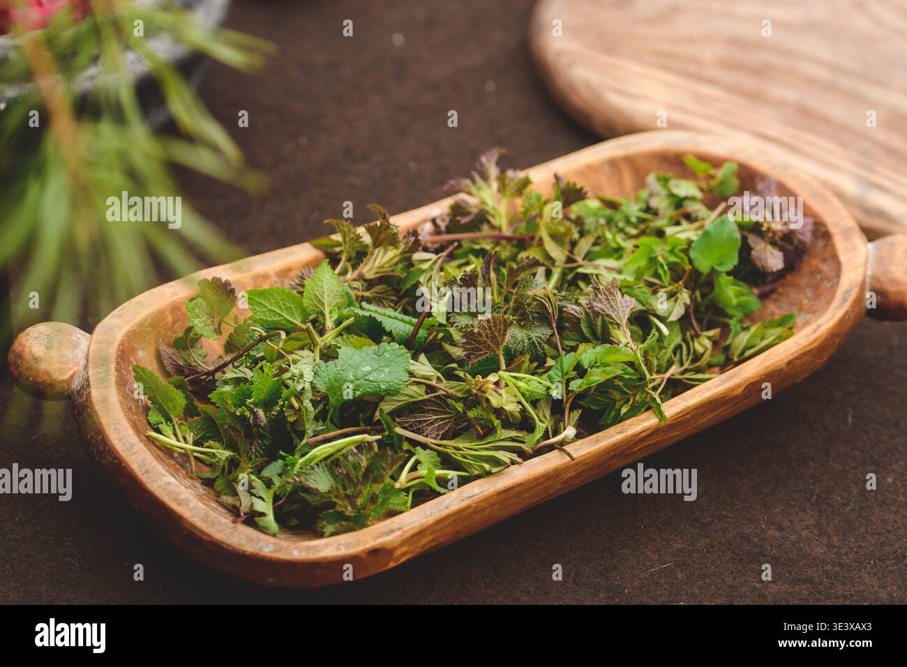 Vassoio in legno di erbe selvatiche verdi appena raccolte per infuso di tè Foto Stock
