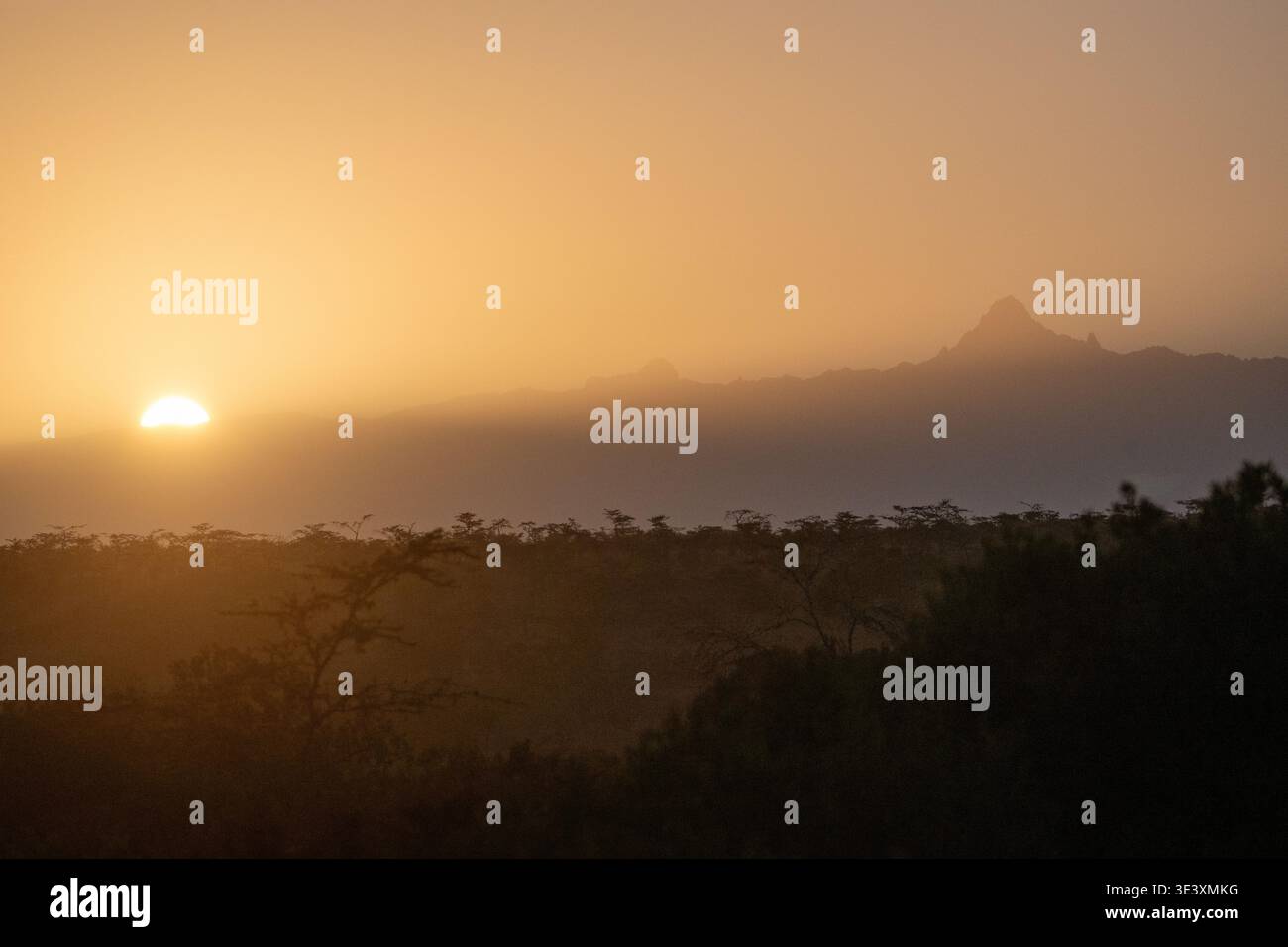 Alba a Ol Pejeta, Kenya, con il Monte Kenya sullo sfondo Foto Stock