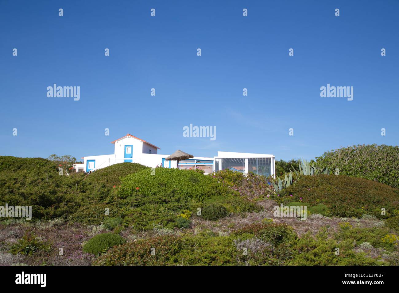 White Coastal House con porta Blu e veranda dietro le dune di Scrubby sotto il cielo azzurro. Foto Stock