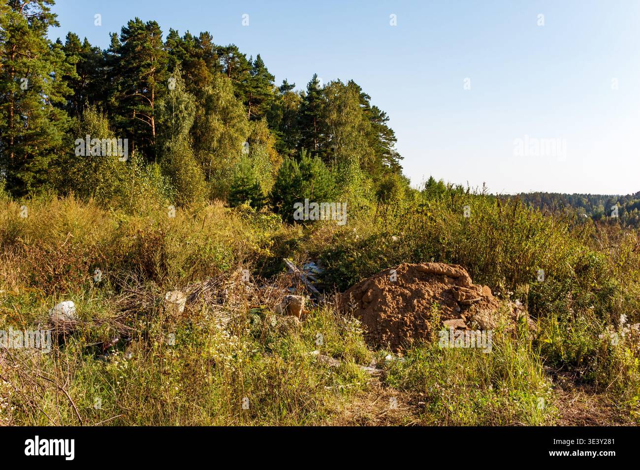 Una discarica antiesteticamente illegale in un lussureggiante e verde paesaggio naturale. Mucchi di sporcizia e spazzatura sparsi marciano il primo piano, contrastando con la serena foresta Foto Stock