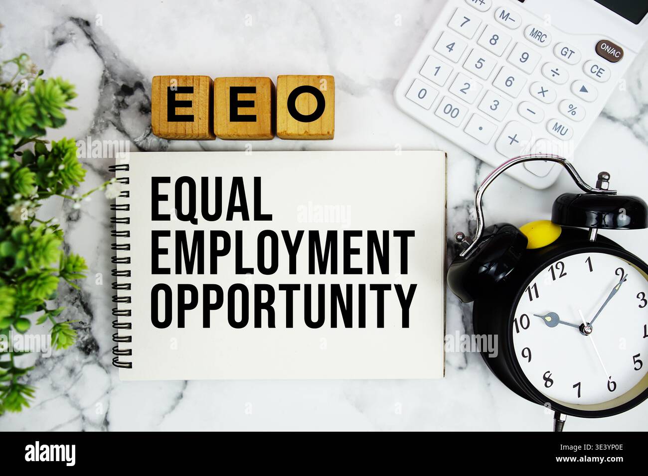 EEO Equal Employment Opportunity testo con calcolatrice e sveglia su sfondo marmoreo Foto Stock