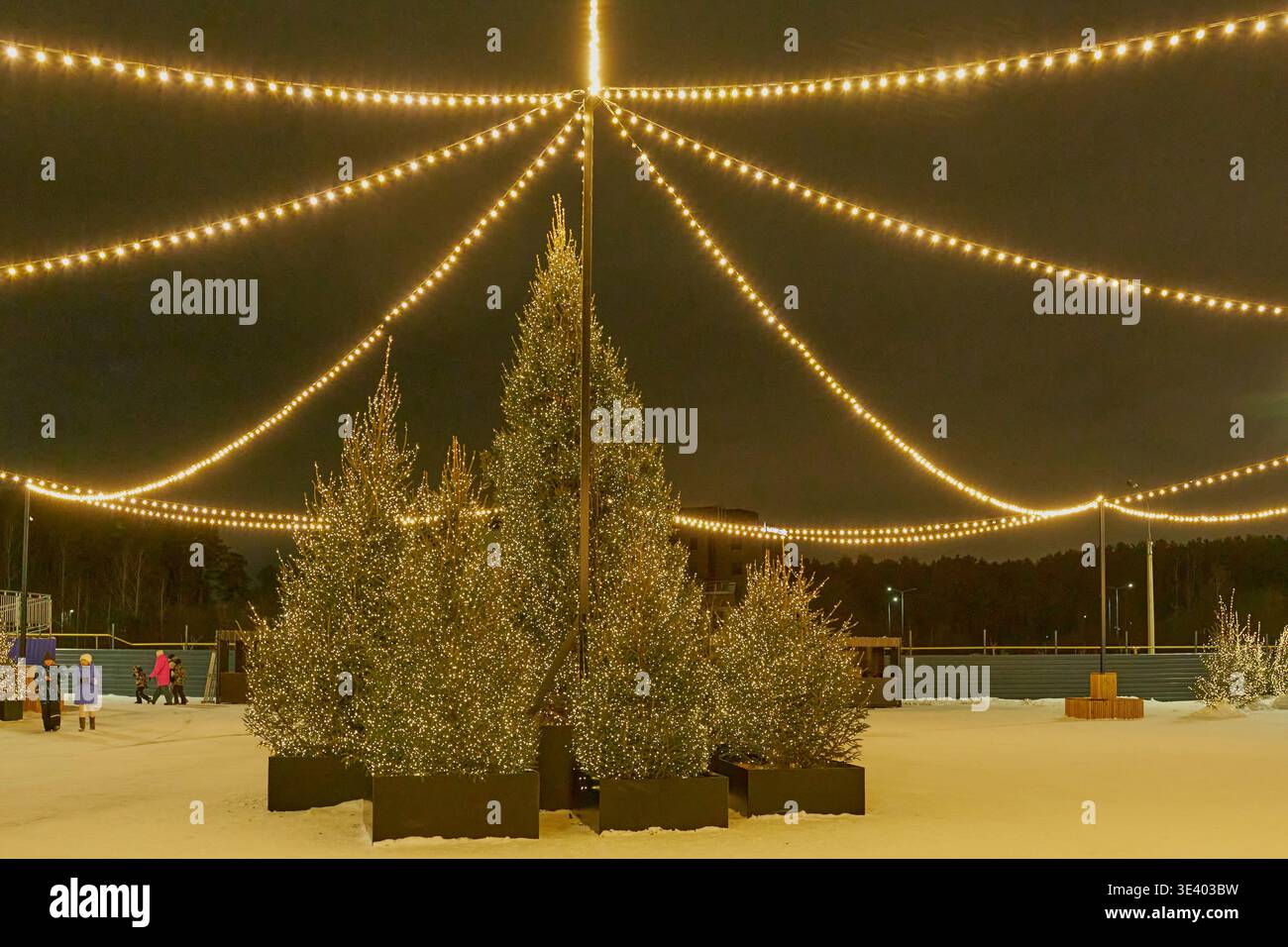 Gruppo di alberi di Natale con luci scintillanti nel Winter Park di notte Foto Stock