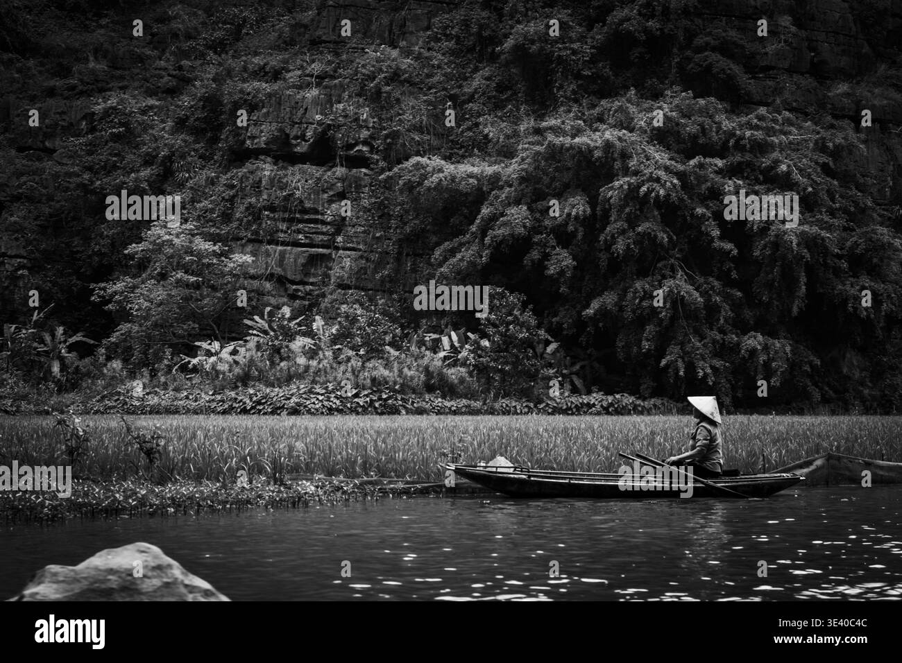 Vogatore in un cappello conico che naviga in un sampan di legno passando per campi di riso con una scogliera carsica alle spalle, Tam Coc, Ninh Binh, Vietnam Foto Stock