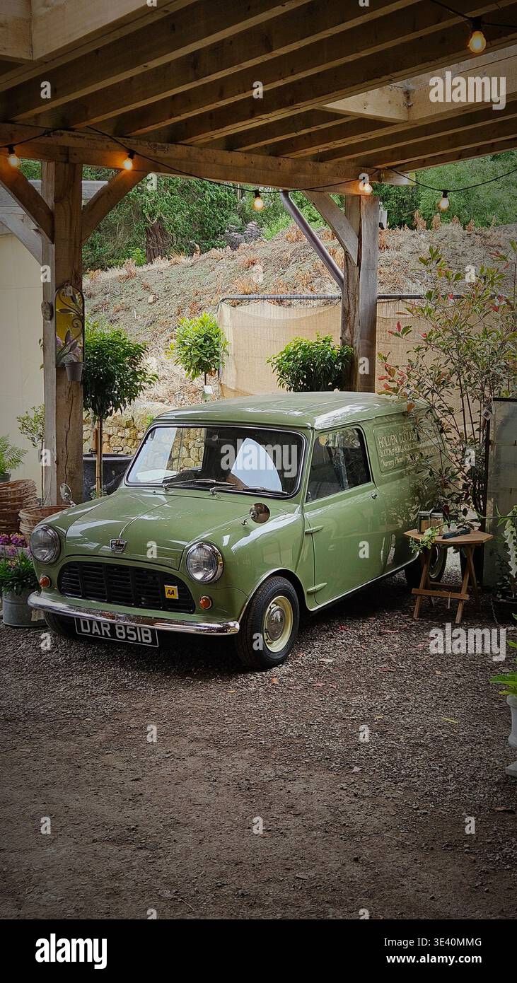 Mini van Austin da 998 cc 1964, in mostra a Holden Clough Nursery nel Lancashire - Immagine stock catturata con smartphone