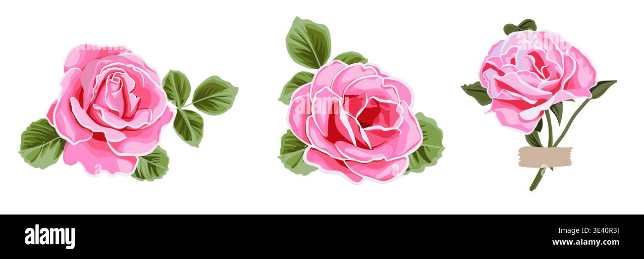 Splendida illustrazione vettoriale rosa collezione di rose disegnate a mano. Imposta pittura vintage e illustrazione botanica. Salvare la data o san valentino Illustrazione Vettoriale