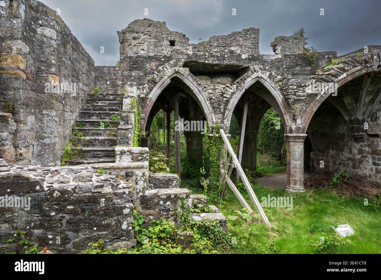 Vista suggestiva delle rovine dell'abbazia di Balmerino in Scozia, con archi in pietra, scalini ricoperti di muschio, pareti rivestite di edera e supporti in legno in mezzo al gre Foto Stock