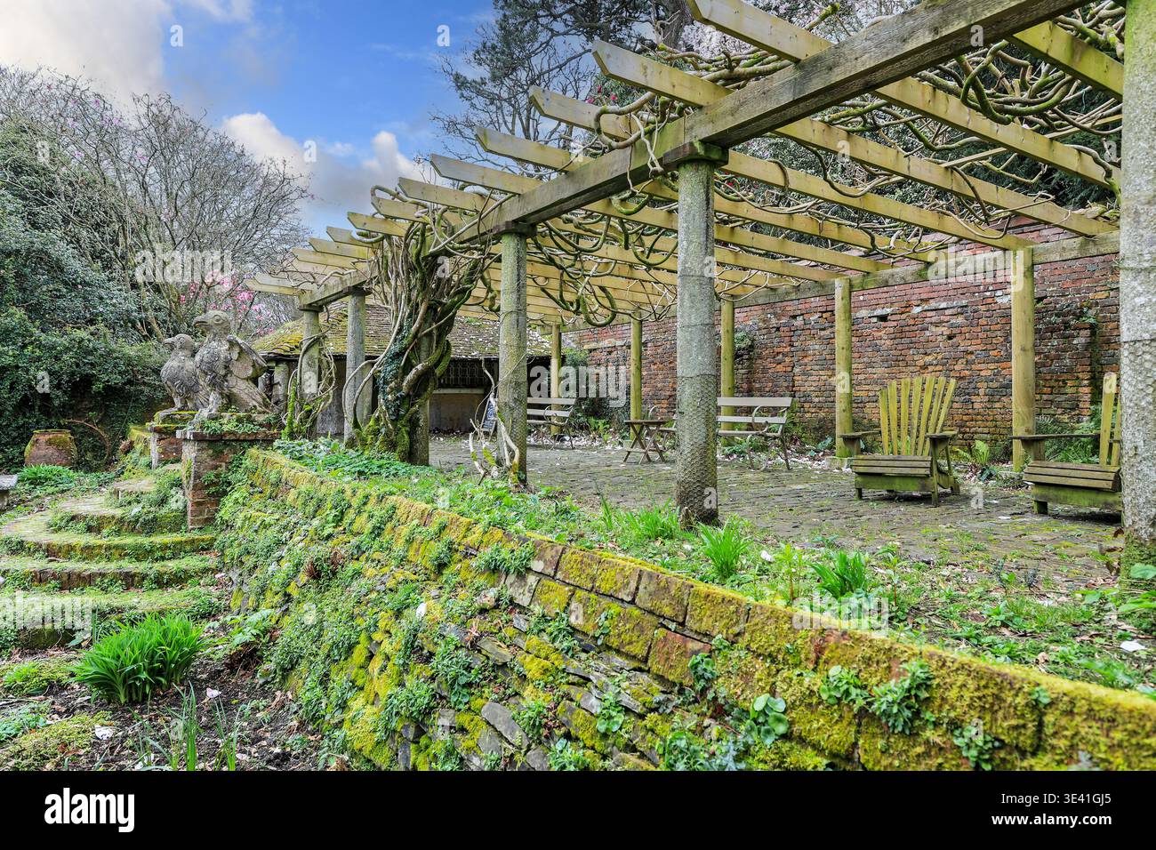 Il giardino recintato di Trewithen Gardens, Truro, Cornovaglia, Inghilterra, Regno Unito Foto Stock