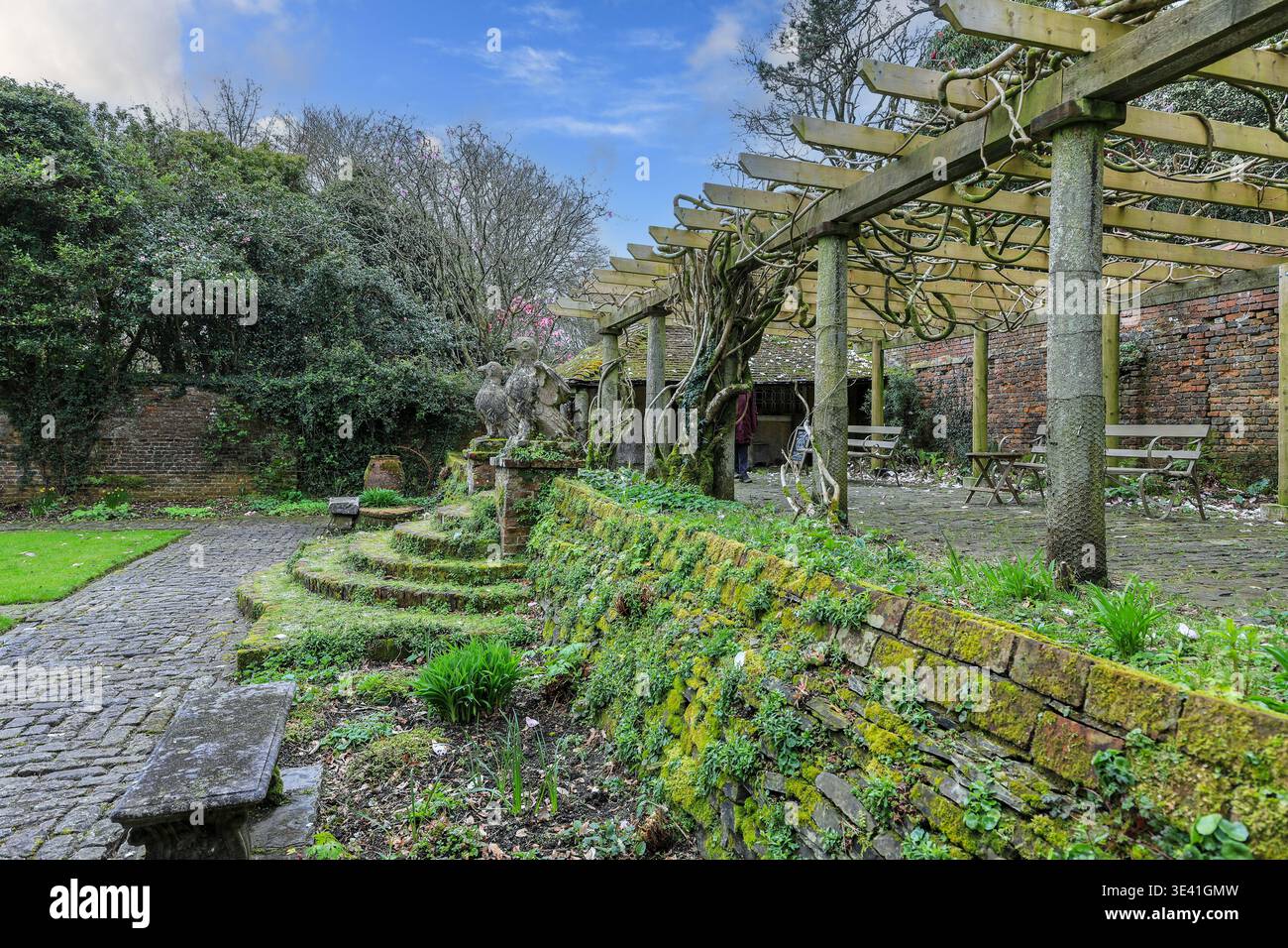 Il giardino recintato di Trewithen Gardens, Truro, Cornovaglia, Inghilterra, Regno Unito Foto Stock