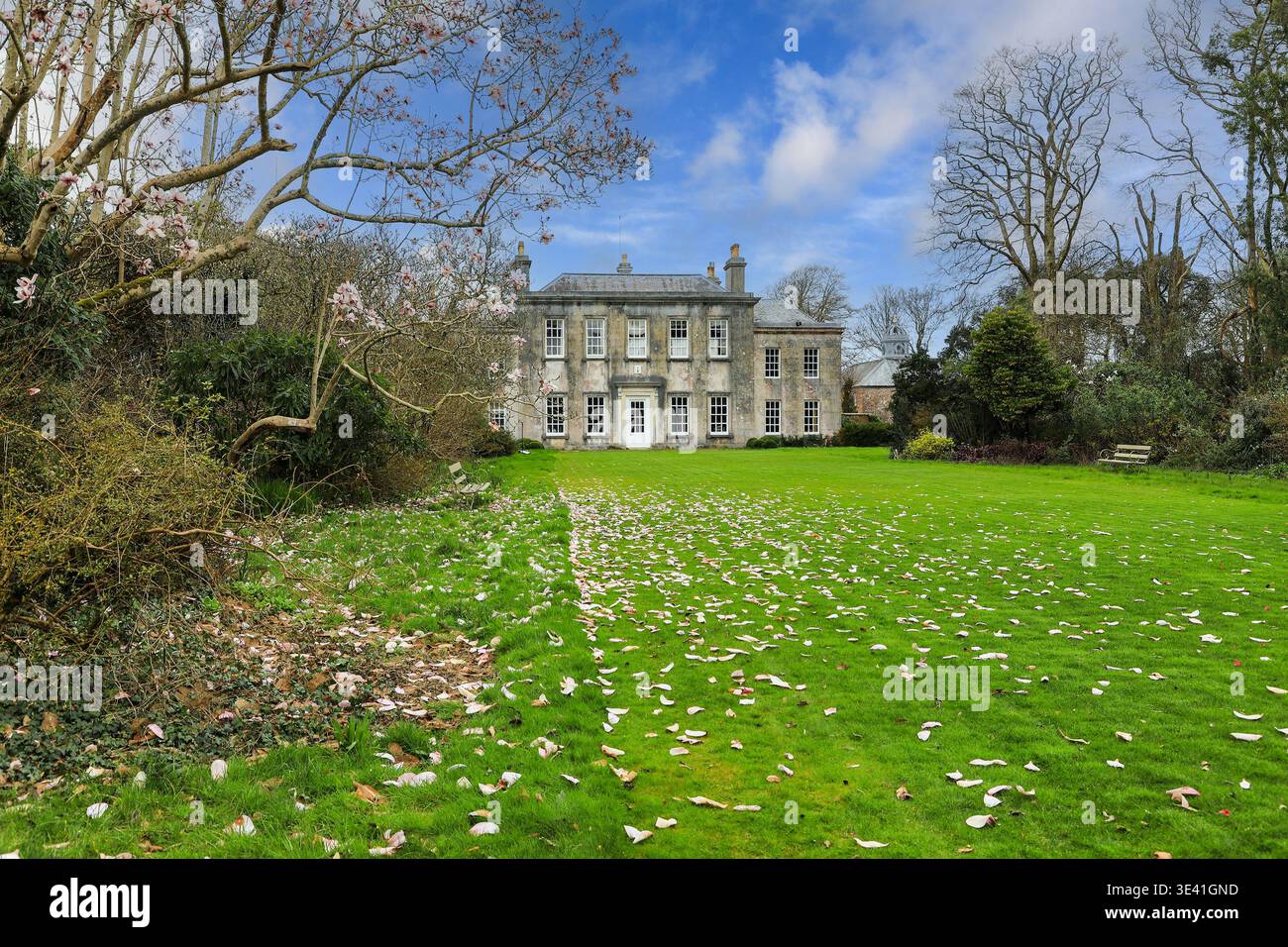 Vista del South Lawn che conduce a Trewithen House, Trewithen Gardens, Truro, Cornovaglia, Inghilterra, REGNO UNITO Foto Stock