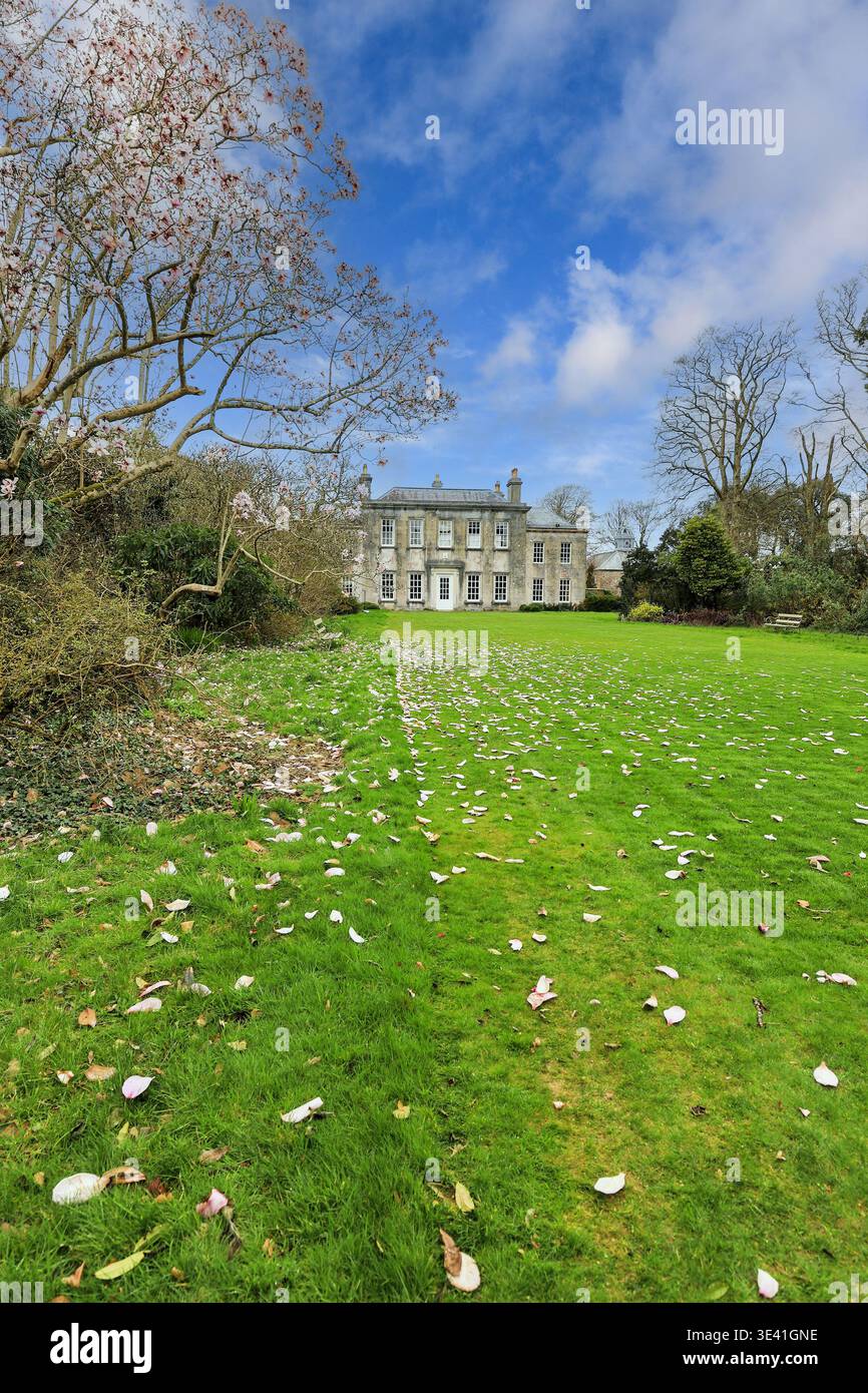 Vista del South Lawn che conduce a Trewithen House, Trewithen Gardens, Truro, Cornovaglia, Inghilterra, REGNO UNITO Foto Stock