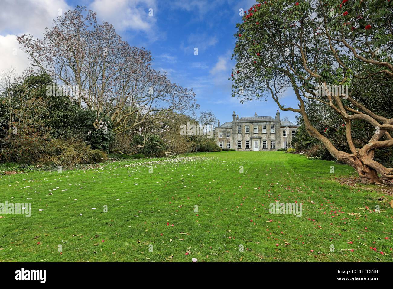 Vista del South Lawn che conduce a Trewithen House, Trewithen Gardens, Truro, Cornovaglia, Inghilterra, REGNO UNITO Foto Stock