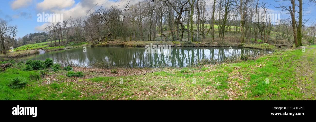 Un panorama di Eagle Ponds a Trewithen Gardens, Truro, Cornovaglia, Inghilterra, Regno Unito Foto Stock