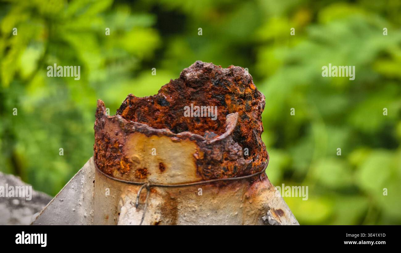 Tubo in ferro fortemente arrugginito con danni da corrosione all'esterno tra il verde fogliame. Foto Stock