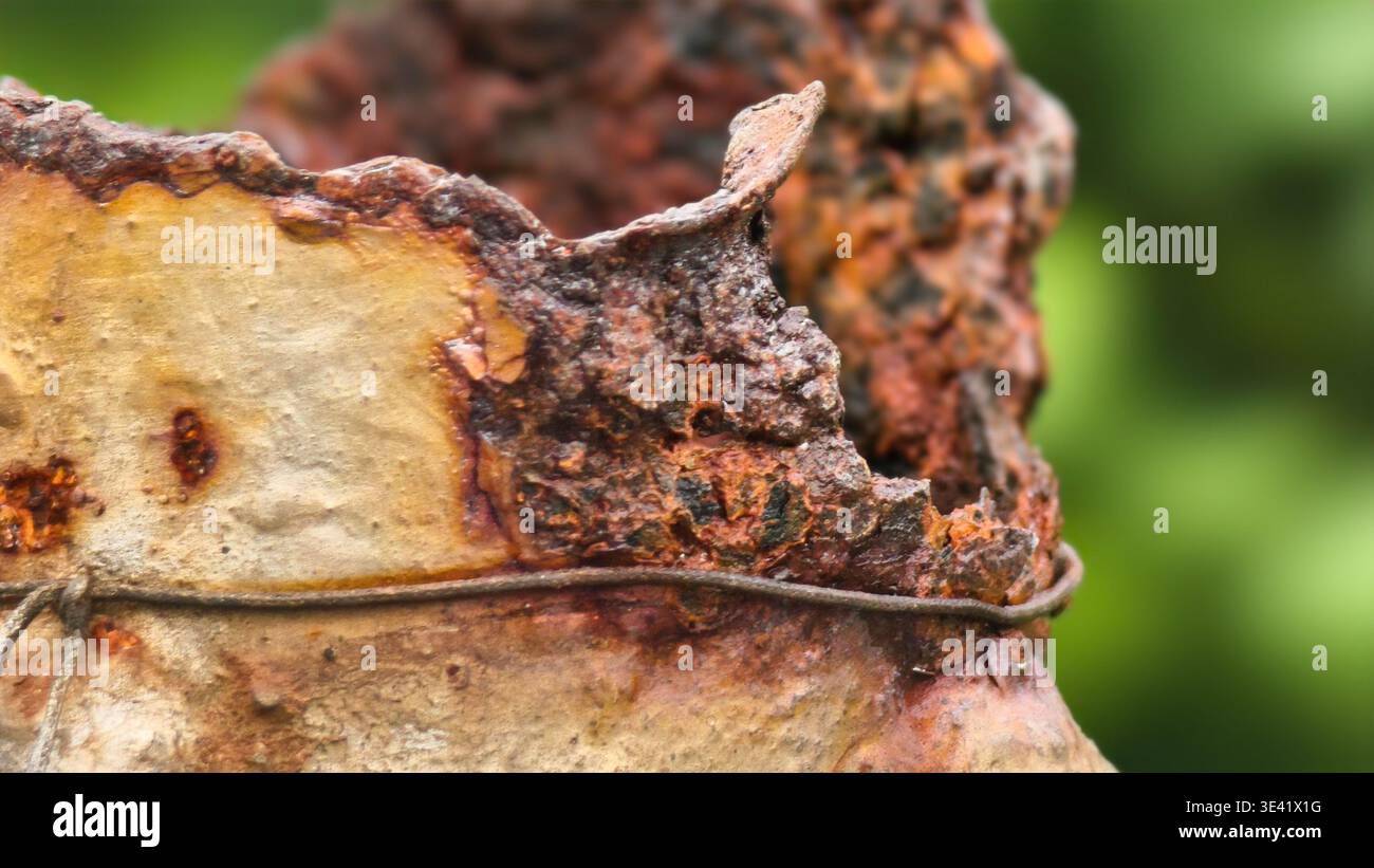 Primo piano di una superficie metallica fortemente arrugginita con fissaggio del filo, che mostra corrosione e consistenza all'esterno. Foto Stock