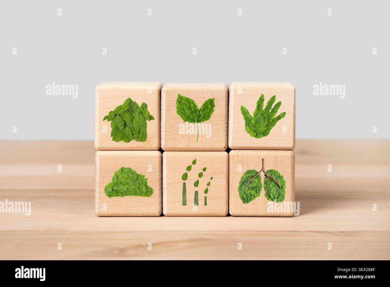 Cubi di legno con una casa verde, piantine, nuvole, camini di fabbrica, polmoni, palma umana. Attività basata sull'energia rinnovabile. Concetto Earth Day e riciclo ecologico. Concetto di ecologia. Giornata mondiale dell'ambiente Foto Stock