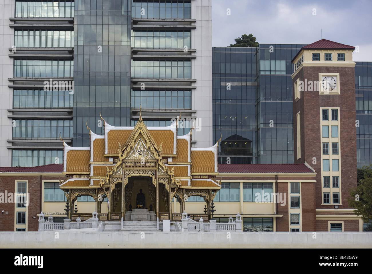 Il parco Chaloem Phrakiat 72° anno all'ospedale Siriraj sul fiume Chao Phraya nella città di Bangkok in Thailandia. Thailandia, Bangkok, Dezember, 5, 2023 Foto Stock