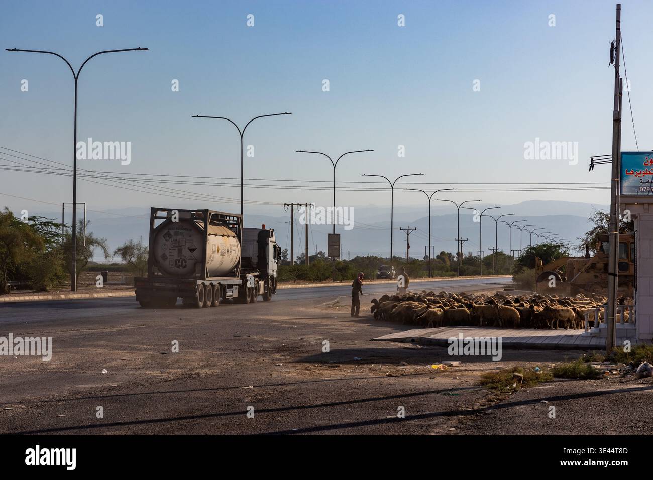 GIORDANIA - 15 LUGLIO 2022: Mandria di ovini che attraversano un'autostrada, Giordania Foto Stock