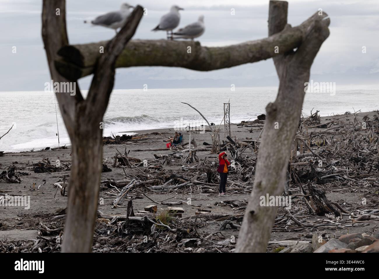 Persona che cammina tra le sculture della spiaggia di Hokitika, West Coast, South Island, nuova Zelanda Foto Stock