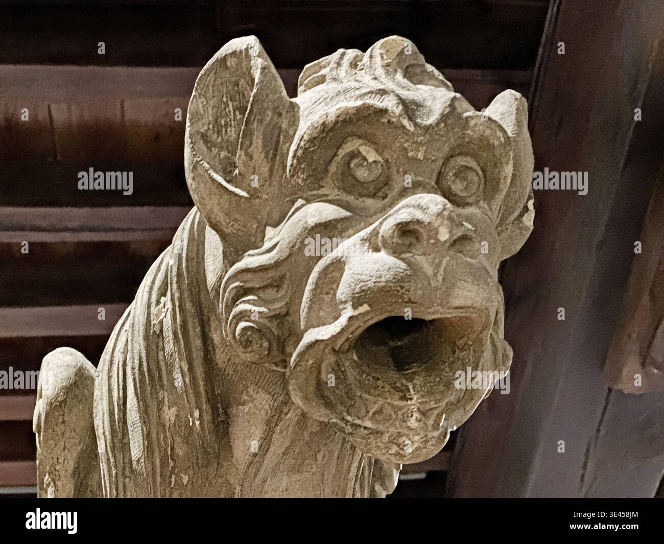 Un gargoyle in pietra è uno dei tratti architettonici dell'architettura classica francese. Foto Stock