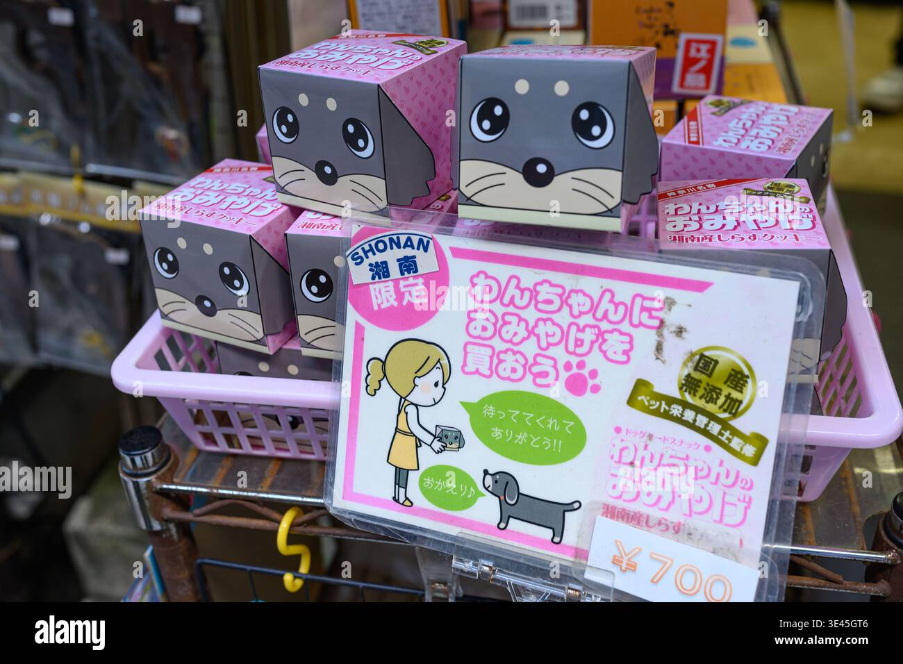 Regali per cani in scatole in un negozio giapponese - Fujisawa, Kanagawa, Giappone - 10 novembre 2025 Foto Stock