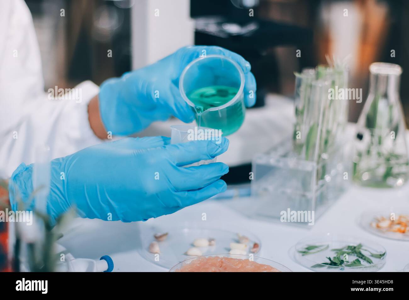 Laboratorio chimico dell'alimentazione alimentare. Alimenti in laboratorio, dna modificano .OGM alimenti geneticamente modificati in laboratorio . Foto Stock