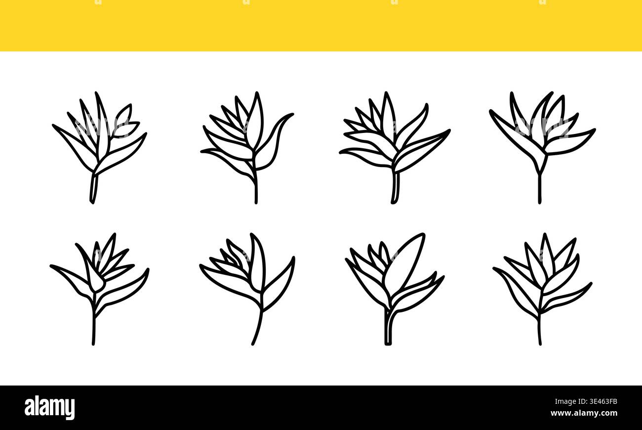 Line Art Collection di illustrazioni floreali stilizzate in vari stili Illustrazione Vettoriale