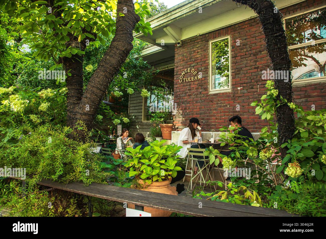 Corea del Sud, Seoul, Gangnam District, Sinsa Dong, Conte de Tulear Cafe-Restaurant Foto Stock