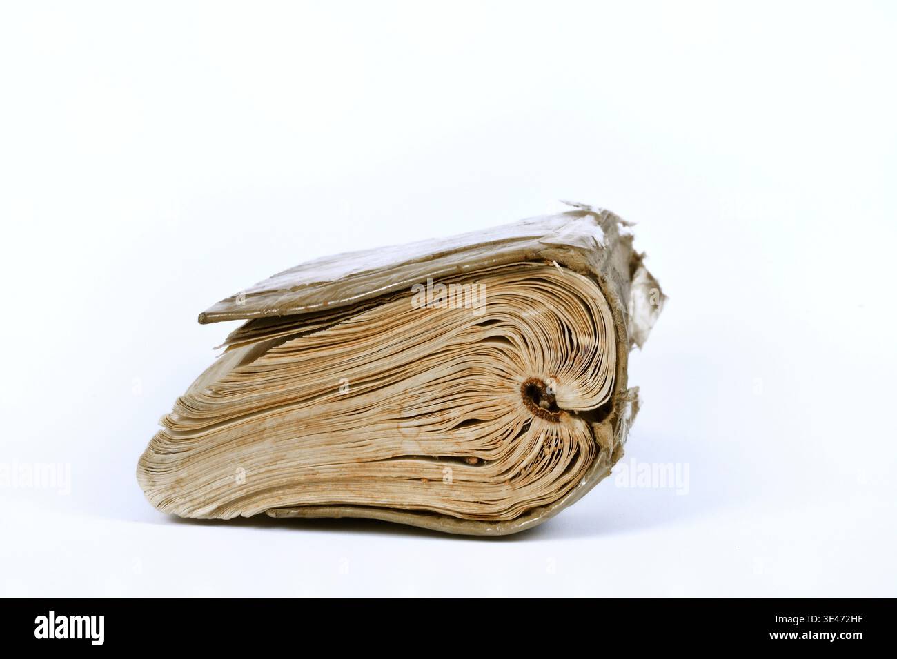 vecchia guida di identificazione ben usurata, ritagliata Foto Stock