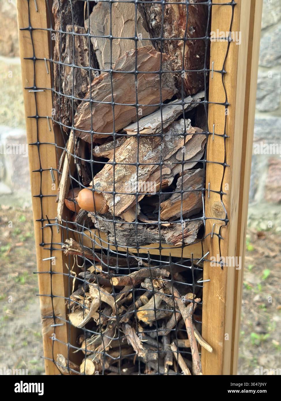 Primo piano della casa degli insetti di legno per la biodiversità e l'impollinazione in un giardino ecologico - concetto di vita sostenibile - Immagine stock catturata con smartphone